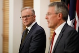 Anthony Albanese, Mark Dreyfus Labor party room _O6A8332