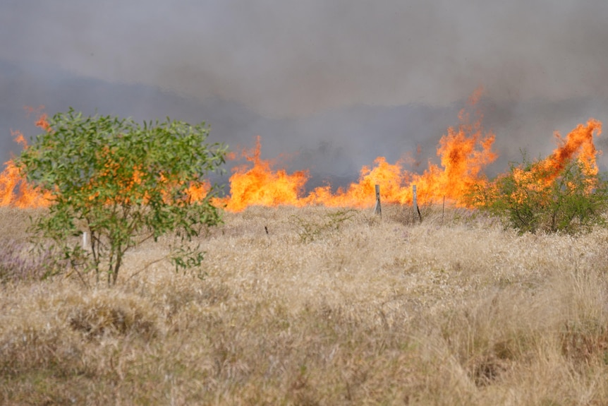 Fire engulfs bushland