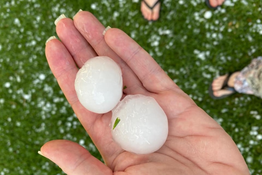good size hail being held in resident's hand