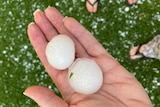good size hail being held in resident's hand