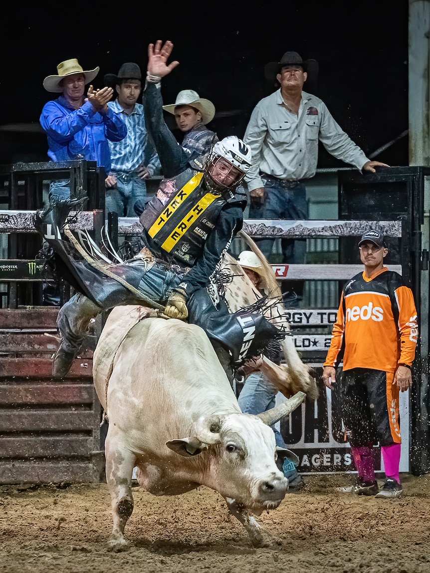 A bull rider in action at a rodeo.