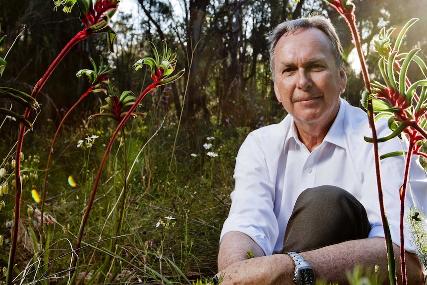 an older man sits in the bush surrounded by kangaroo paw plants.