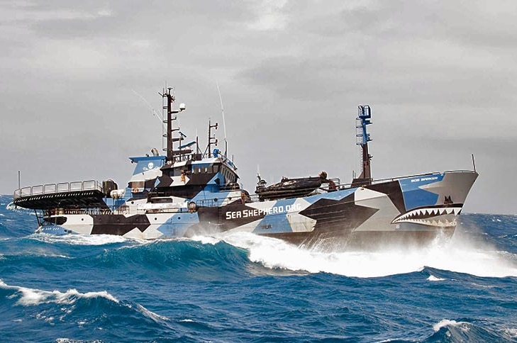Conservation organisation Sea Shepherd's ship The Bob Barker at sea