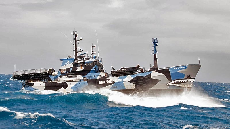 Sea Shepherd long-range vessel The Bob Barker at sea