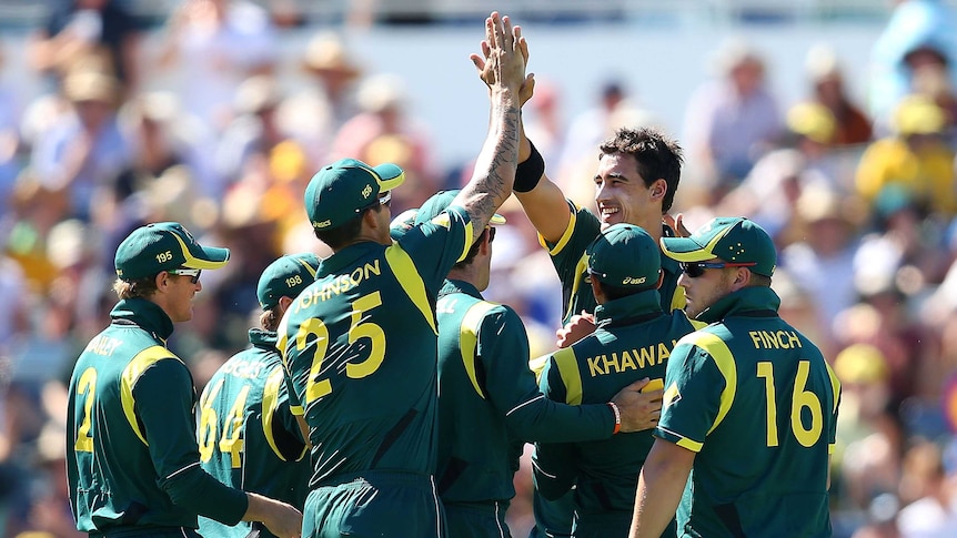 Starc makes early breakthrough
