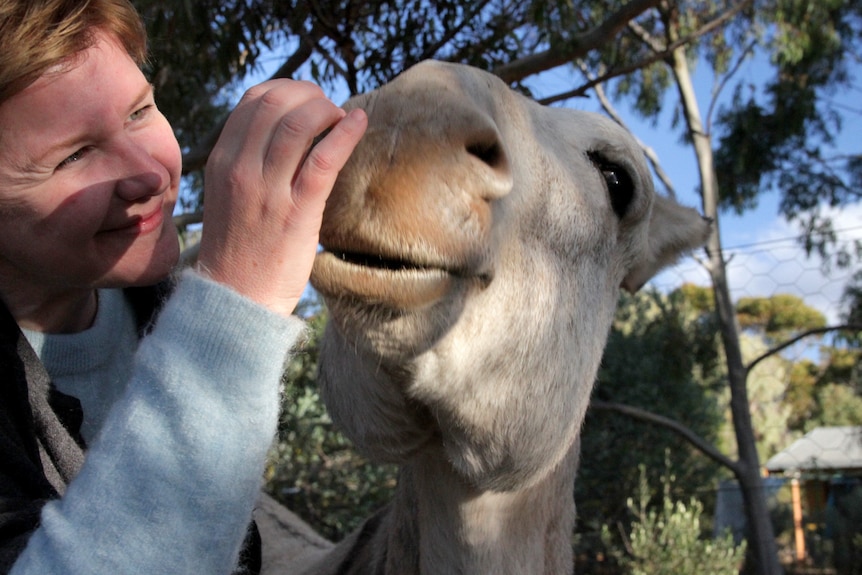 Kim Goldsmith close up, feeding her donkey a carrot