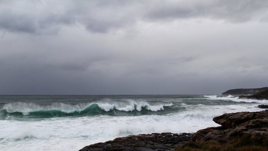 Wild surf NSW