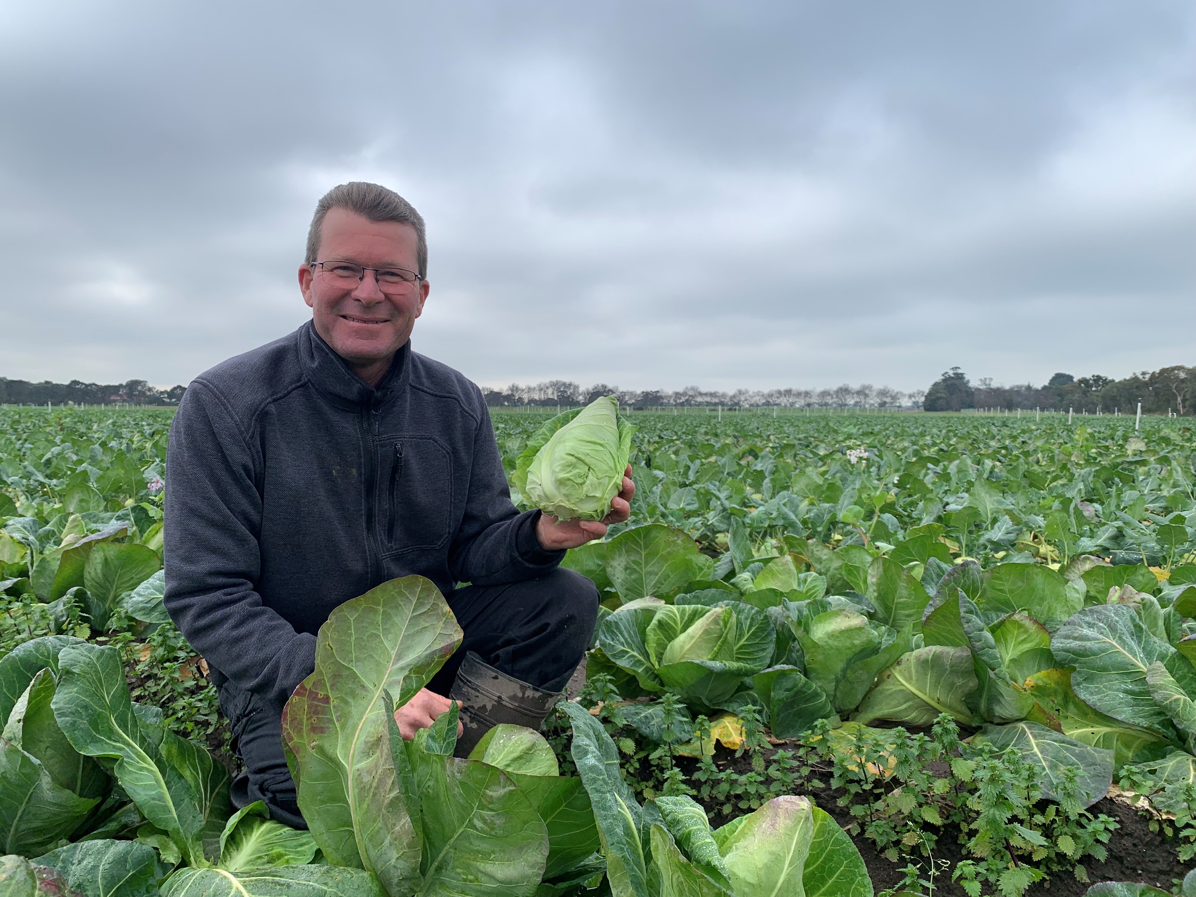 Side dish vegetable takes the spotlight as vegetable of the year