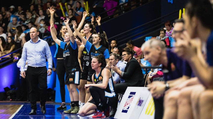 Sydney Flames owner blows up Basketball Australia, Canberra Capitals after fraud scandal