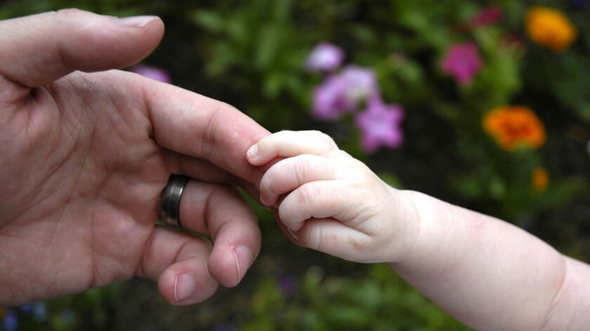 A baby holds a finger of an adult