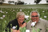 Poppy growers Janelle and David Forsyth