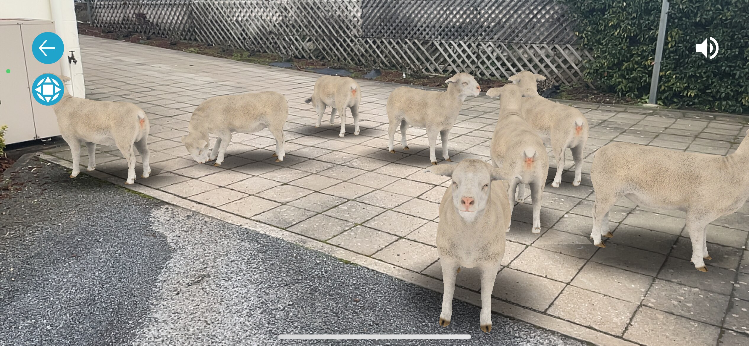 Biosecurity plan and augmented reality app Sheep EAD AR part of SA's ...