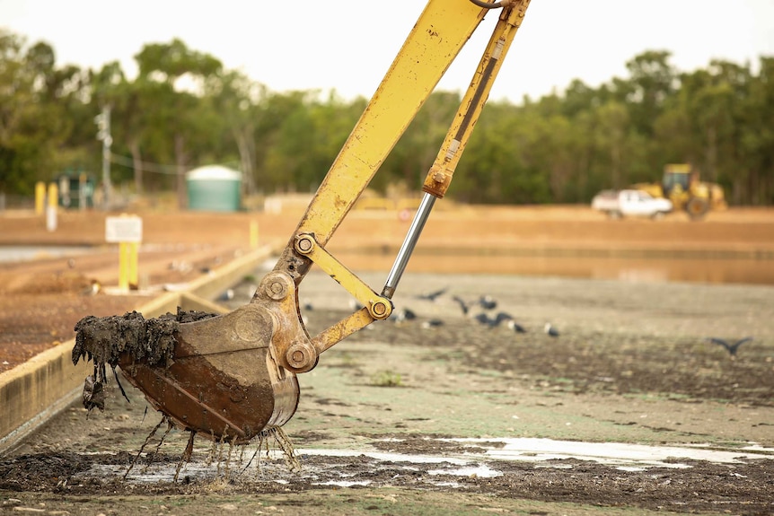 An excavator bucket lifts wipes and other material from the surface of a sewage pond. It's dripping.