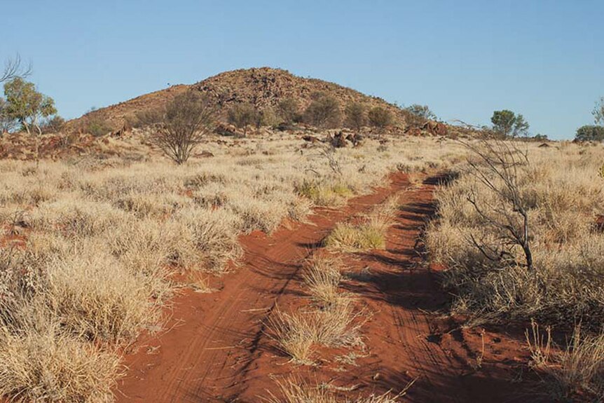 A dirt track in Papunya