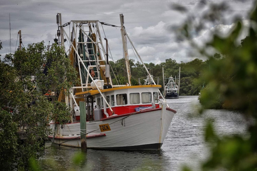 Fishing trawler moored at Cabbage Tree Creek.