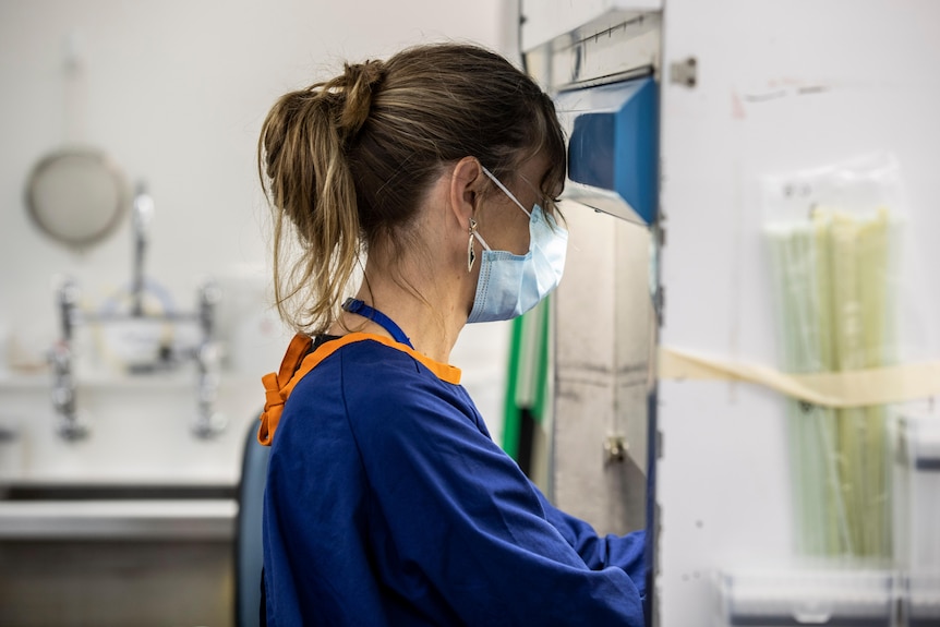 Female staff member in pathology laboratory.