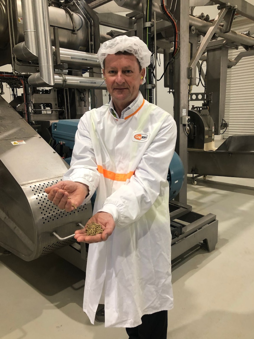 Sunrice CEO Rob Gordon holds rice in his palm.