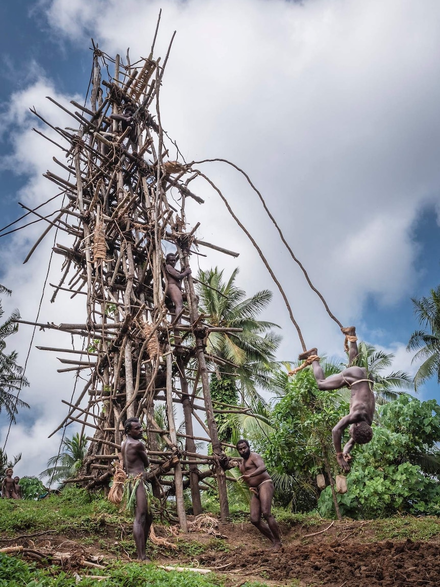 A Vanuatu man jumps headfirst from a structure made of sticks with two vines tied to his ankles.