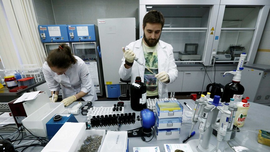 A man and a woman in lab coats measure samples at a laboratory on a desk strewn with drug-testing instruments.