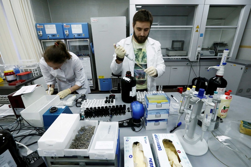 A man and a woman in lab coats measure samples at a laboratory on a desk strewn with drug-testing instruments.