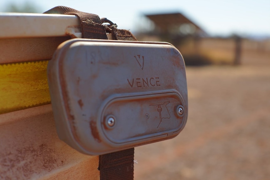 A cattle collar resting on ute tray.