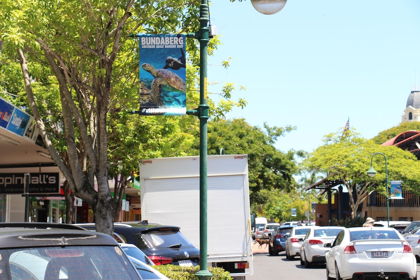 a line of cars in traffic on the right, parked cars on the left, a sign with a turtle hangs from a street post
