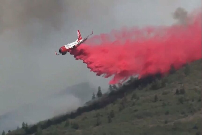 a plane, dropping a huge plume of red smoke, on a forest.