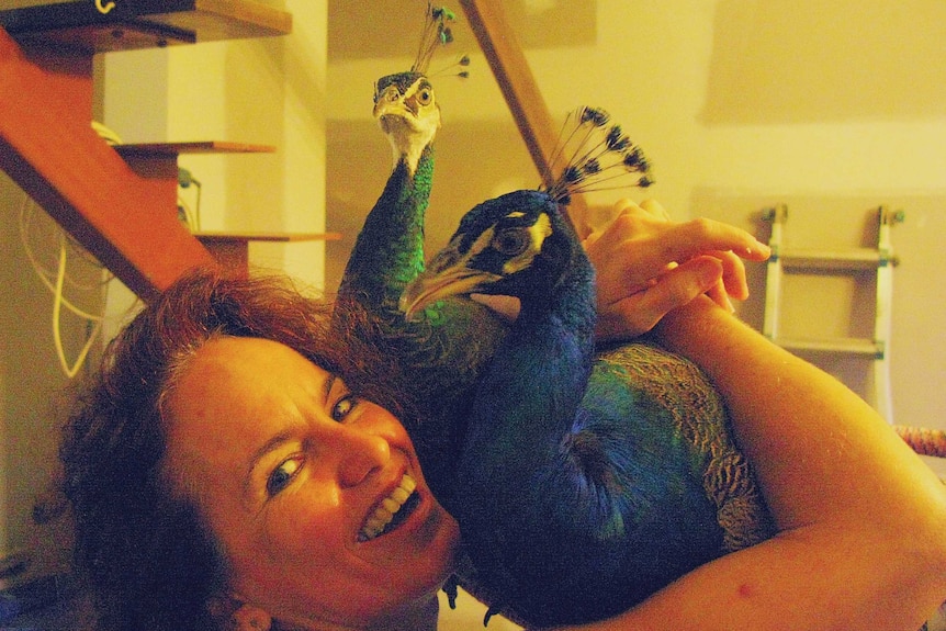 Lady smiling hugging two peacocks while standing in her living room. Stairs behind her.