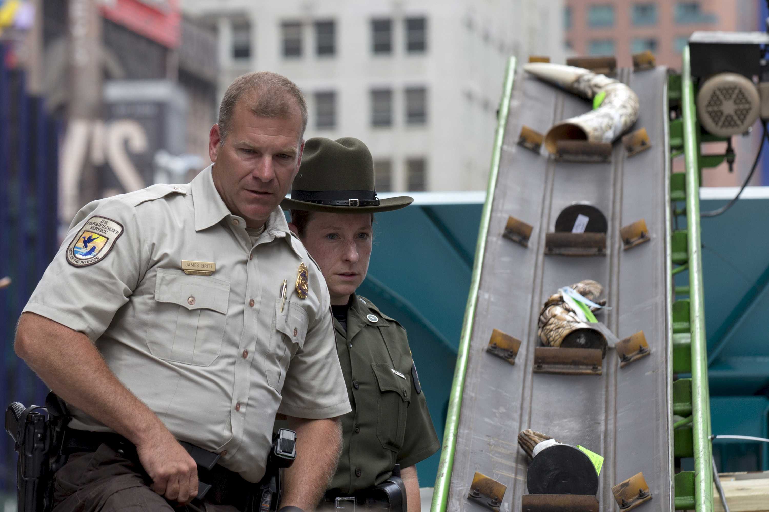 Tonne of confiscated ivory crushed in New York's Times Square by ...
