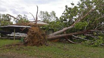 Cyclone Monica has downed trees in the Northern Territory town of Jabiru.