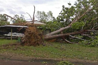 Cyclone Monica has downed trees in the Northern Territory town of Jabiru.