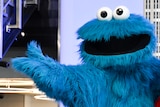 The blue Sesame Street character Cookie Monster poses at a lookout over the Manhattan skyline.