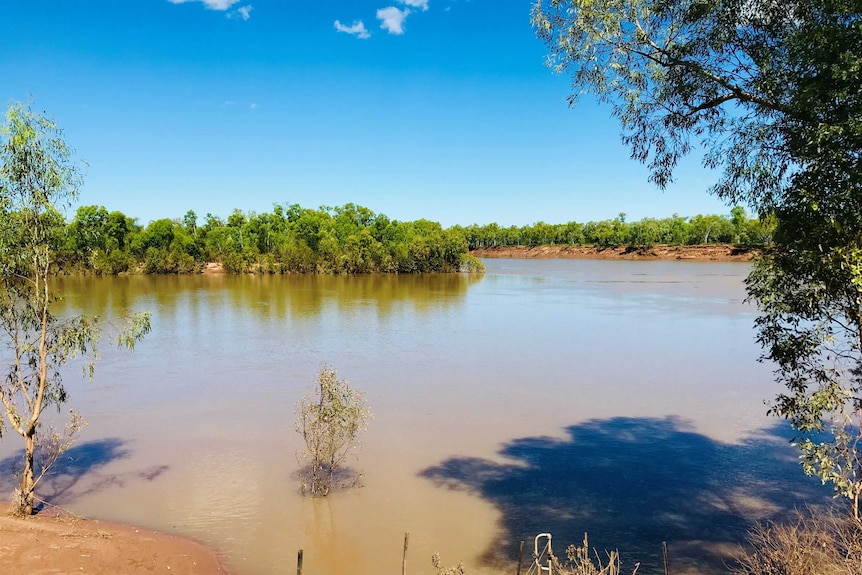 The junction of the Margaret and Fitzroy Rivers