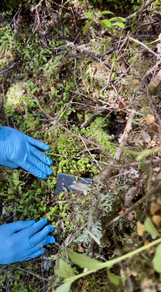 Entre musgo e galhos você pode ver o canto de um celular. Duas mãos enluvadas repousam no chão perto dele.