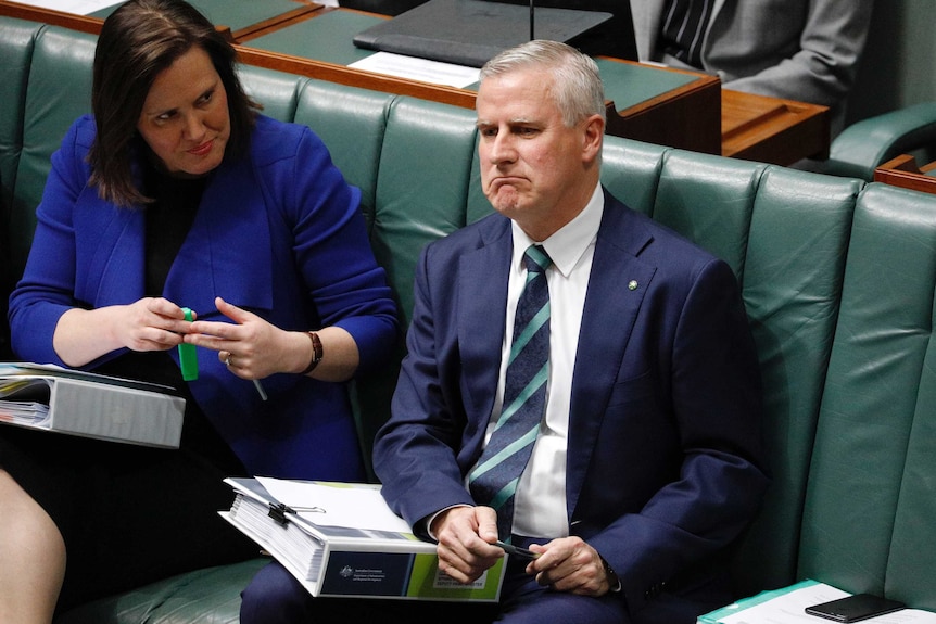 Kelly O'Dwyer looks towards Micheal McCormack who is frowning during Question Time