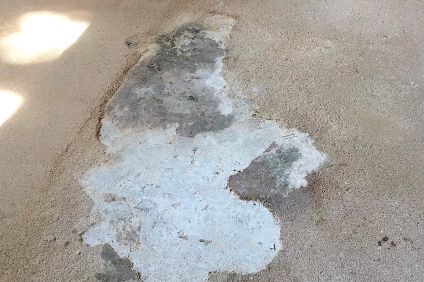 destroyed or rotting carpet