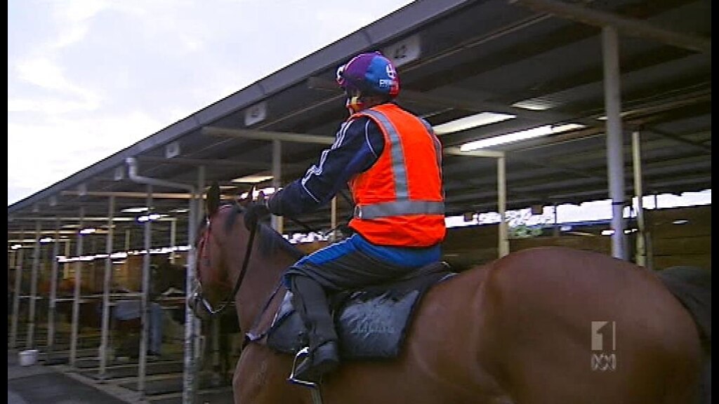 00a73688d07b74d365e917e1d6141f27?impolicy=wcms_crop_resize&cropH=575&cropW=1024&xPos=0&yPos=0&width=862&height=485