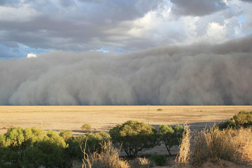 A massive dust storm sweeps toward Bedourie in a line across the parched outback.