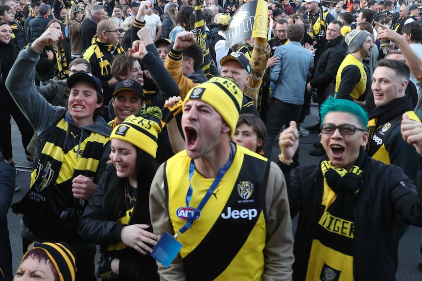 Richmond fans celebrate their team's AFL grand final victory