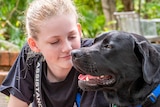 A teenage girl with a labrador wearing an "Assistance Dog" vest.