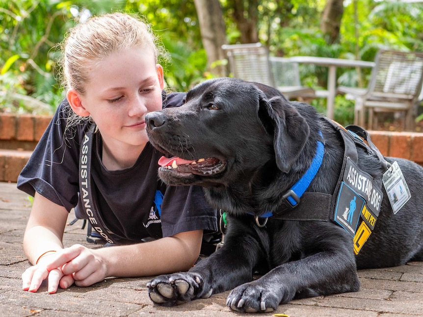 A teenage girl with a labrador wearing an "Assistance Dog" vest.