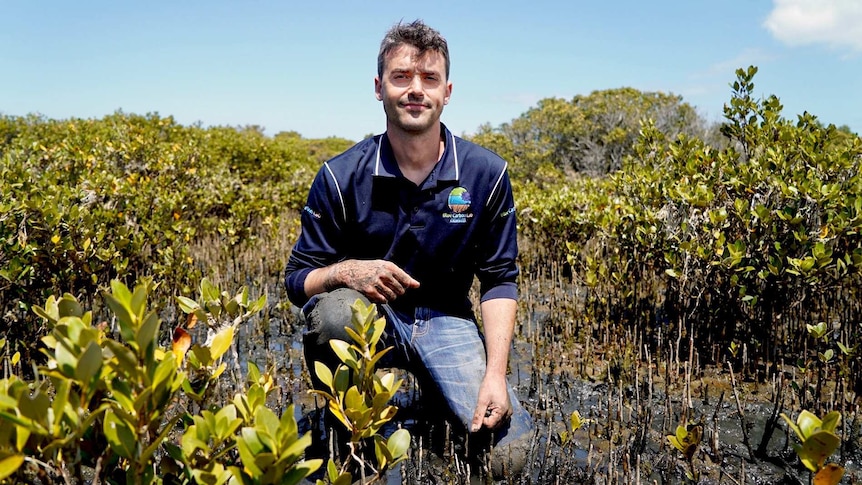 Peter Macreadie among the mangroves at Jawbone Reserve.