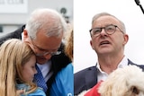 A composite image of Scott Morrison embracing his daughters and Anthony Albanese holding his dog