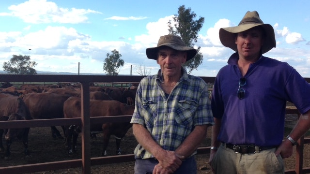 Noel and Grant Wieck and their cows