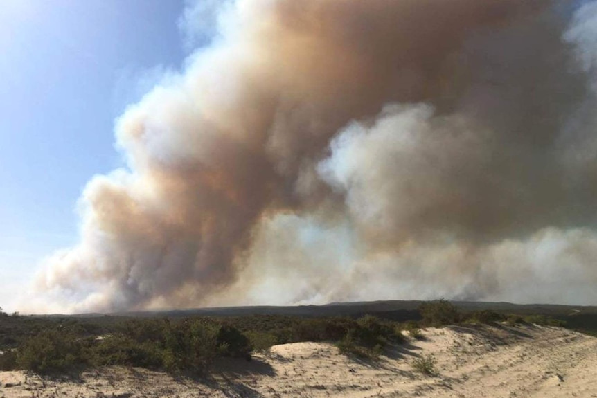 A large plume of smoke rises from a fire in bushland near Grey, north of Perth.