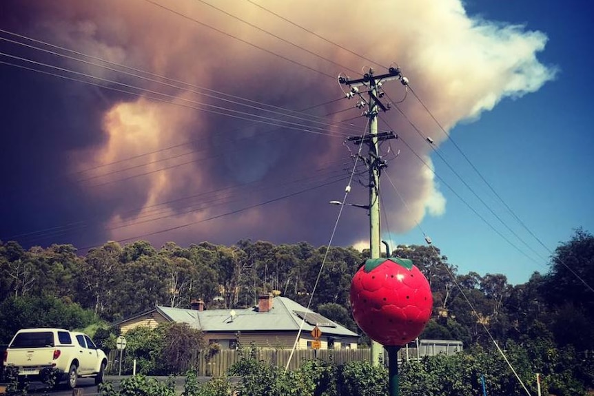 Smoke from Gell River fire seen from the Westerway Raspberry Farm.