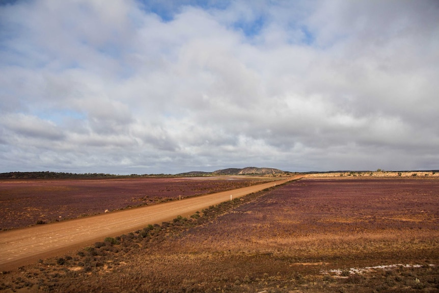 An unsealed road running through floodplains on the outskirts of Kalgoorlie, Western Australia.