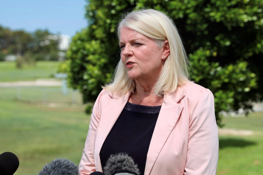 Woman with shoulder-length blinge hair, wearing oowder pink blazer and black shirt, addressing the media. 