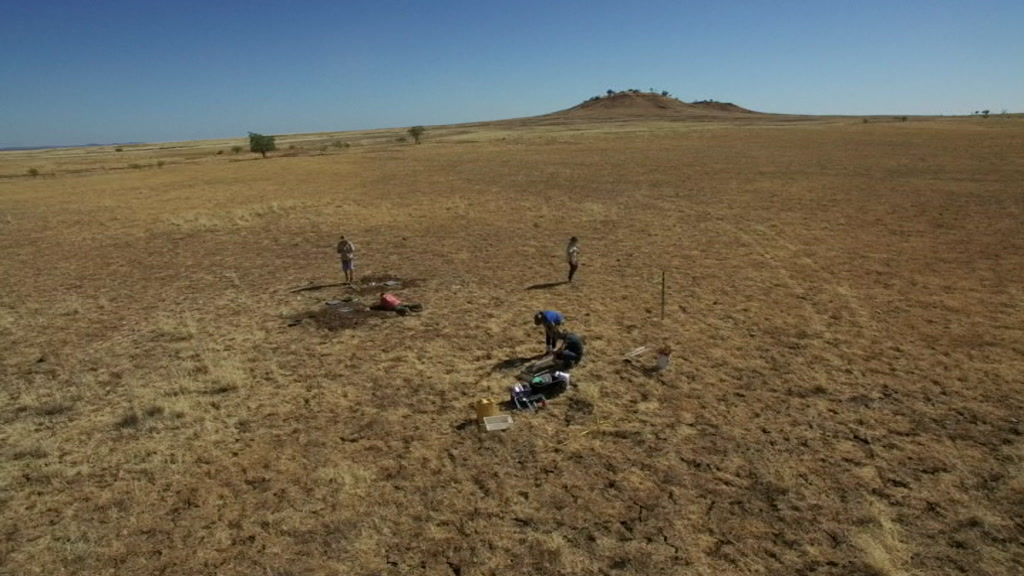 New dinosaur found in Queensland - ABC News