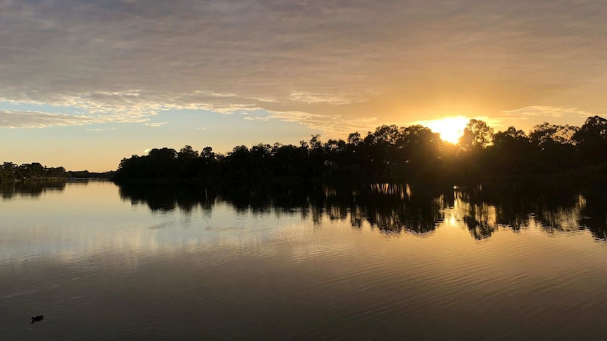 A picture of the River Murray taken from the riverbank.